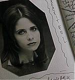 SMGF-CI856.jpg
