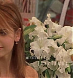SMGF-SI0071.jpg