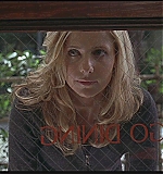 KMP-DVD2239.jpg