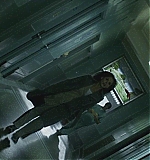 SMGF-P0365.jpg