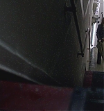 SMGF-P0965.jpg