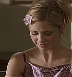 KMP-DVD0207.jpg