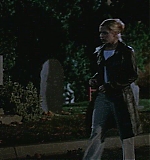 KMP-DVD0488.jpg