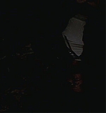 KMP-DVD0549.jpg