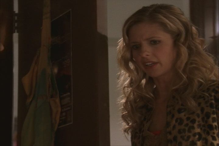KMP-DVD0894.jpg