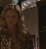 KMP-DVD0995.jpg