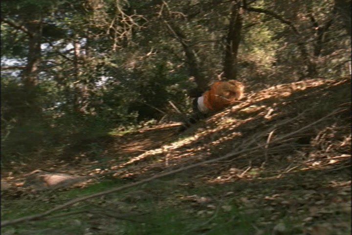 KMP-DVD0277.jpg