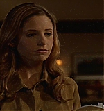 KMP-DVD0041.jpg